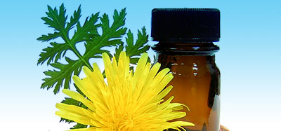 Қарапайымды еліктірді Қарапайымды еліктірді